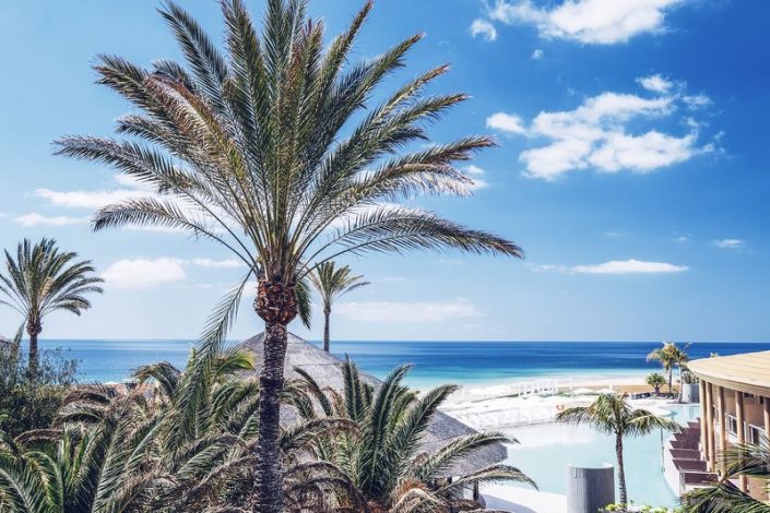 Entspannung unter Palmen auf Fuerteventura