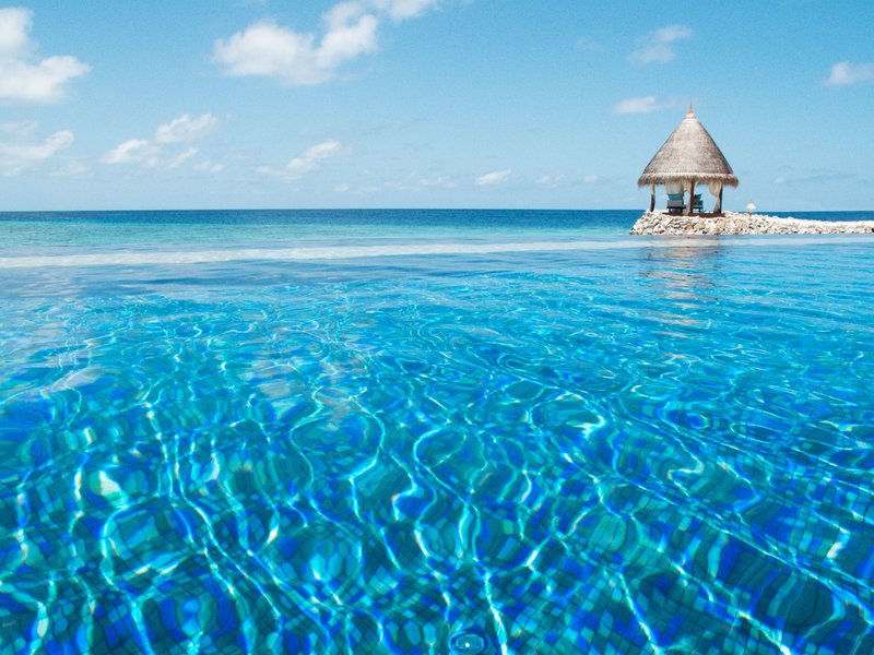 Taj Coral Reef Malediven - Im Infinitypool mit Meerblick