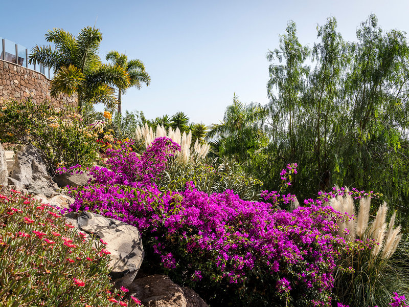 Casa Leon Gran Canaria - Blütenpracht in der Anlage
