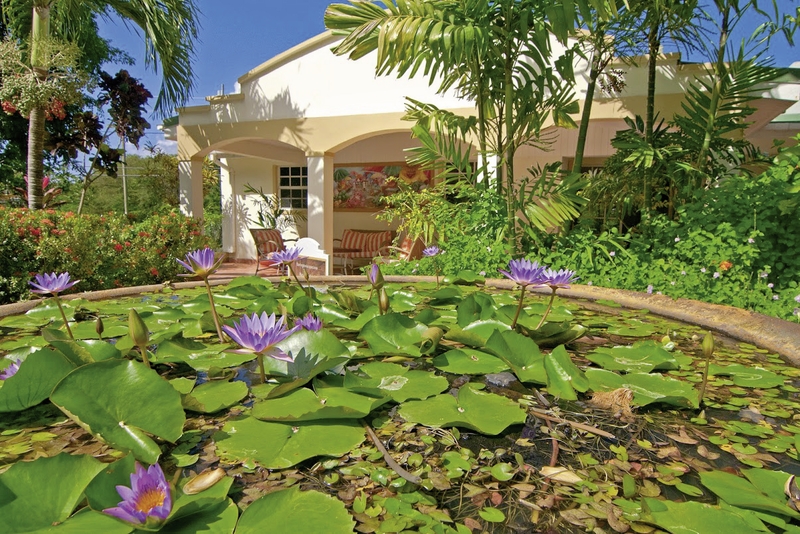 Blue Horizons Garden Grenada - Wunderbarer Blick auf eine Terrasse