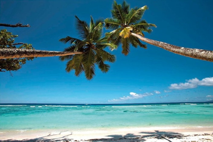 Am Traumstrand der Seychellen