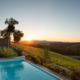 Delaire Graff Estate in Südafrika - Abends am Pool mait grandiosem Blick über die Weinberge und die Berge