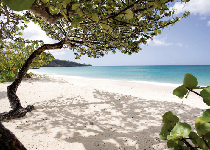 Spice Island Beach Resort - Am Strand an der wunderbaren Karibik