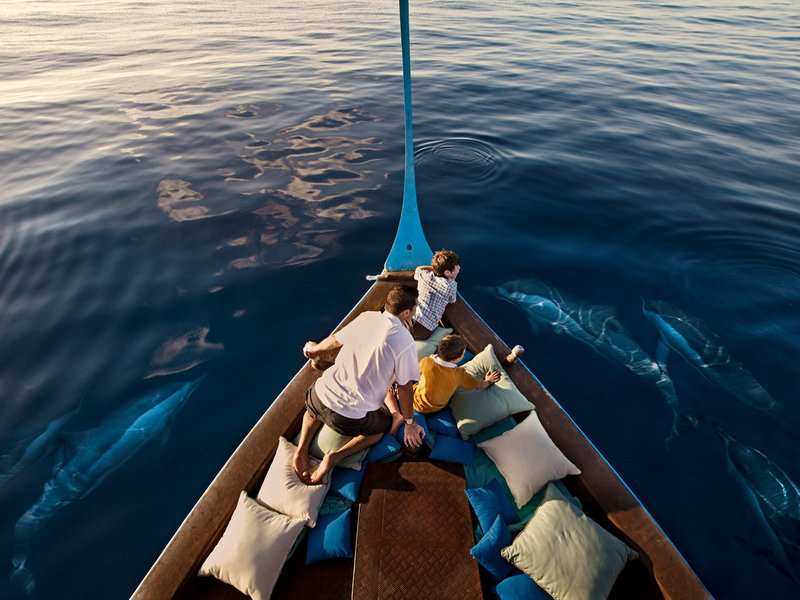 Four Seasons Resort Kuda Huraa - Unterwegs mit den Delphinen