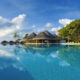 Dusit Thani Maldives - Am wunderbaren Swimming Pool