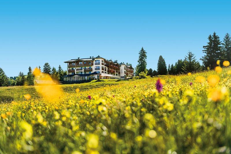 Hotel Steger-Dellai Südtirol - Beim Spazieren