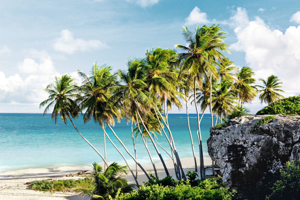 TUI Cruises Frühbucher Wintersaison 2023/24 - Karibische Inseln und Mittelamerika